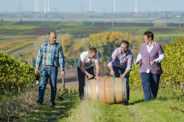 In den Weinreben